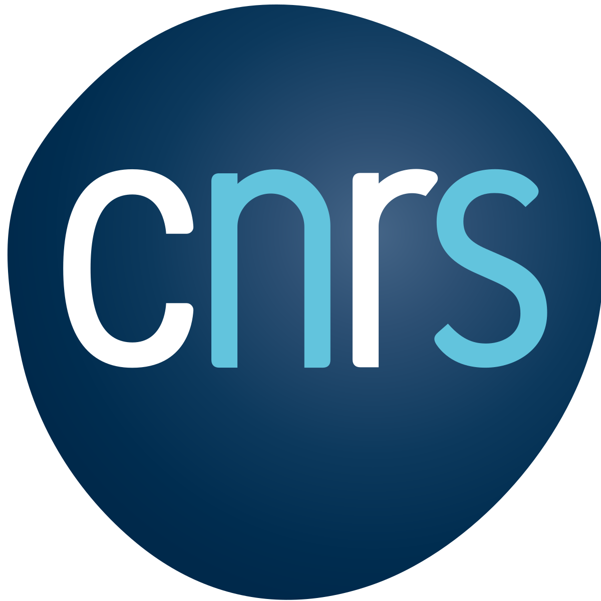 Logo de CNRS
