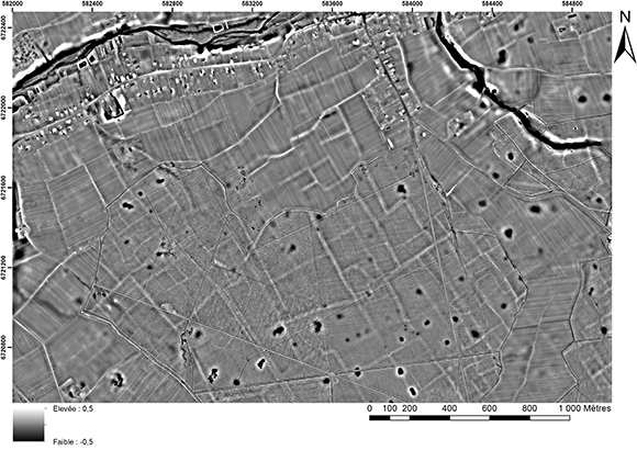 Figure 1 : Exemples de microreliefs agraires détectés grâce à un relevé LiDAR réalisé dans la forêt de Boulogne et sa lisière (Huisseau-sur-Cosson, Loir-et-Cher)