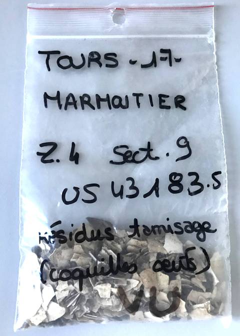Échantillons d'oeufs prélevés sur le site de Marmoutier